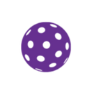Purple_edited_edited_edited_edited.png